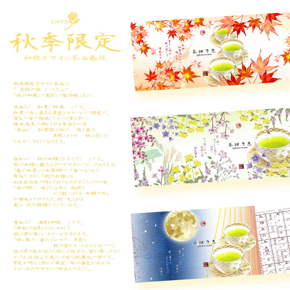 敬老の日　秋の贈答　お茶ギフト