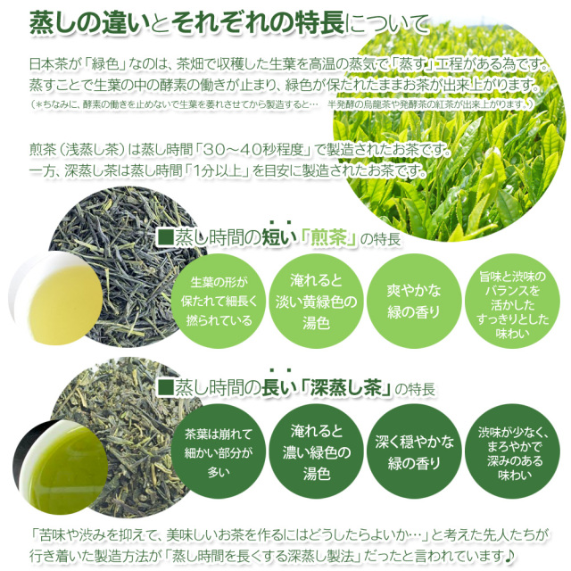茶葉商品 深蒸し 普通蒸し お茶のモリタ園