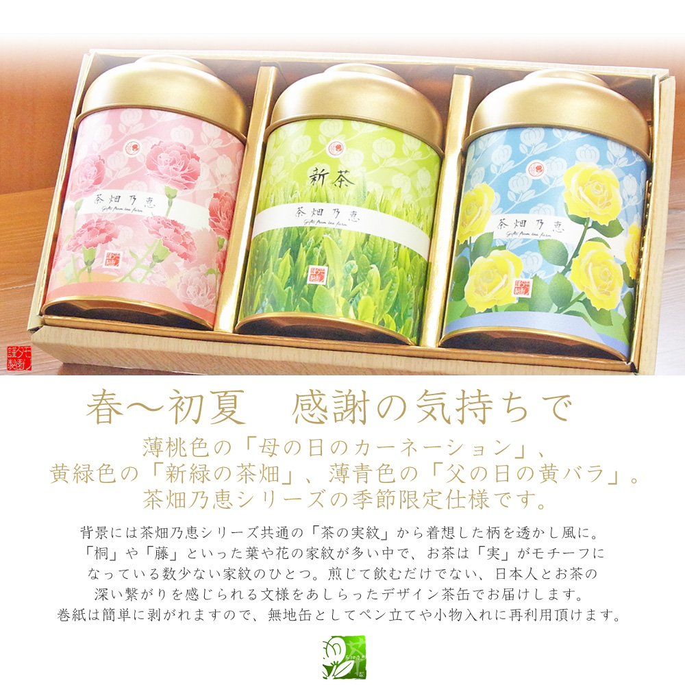 ffgift-megw002s