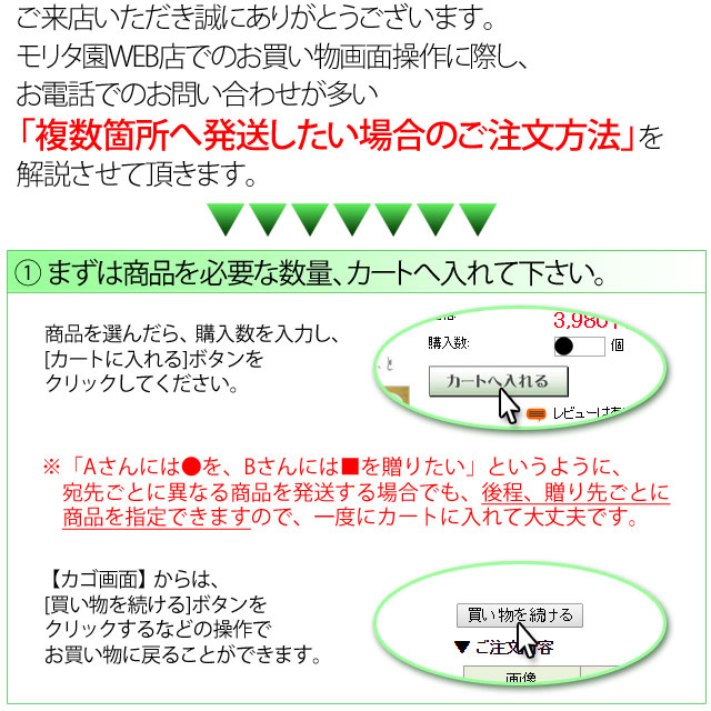 複数宛先発送方法の説明