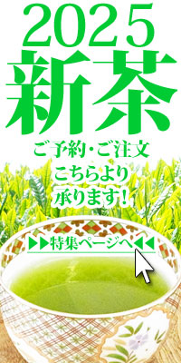 新茶　新茶予約　２０２５年産新茶　美味しい新茶　新茶ギフト　新茶お取り寄せ　お茶のモリタ園